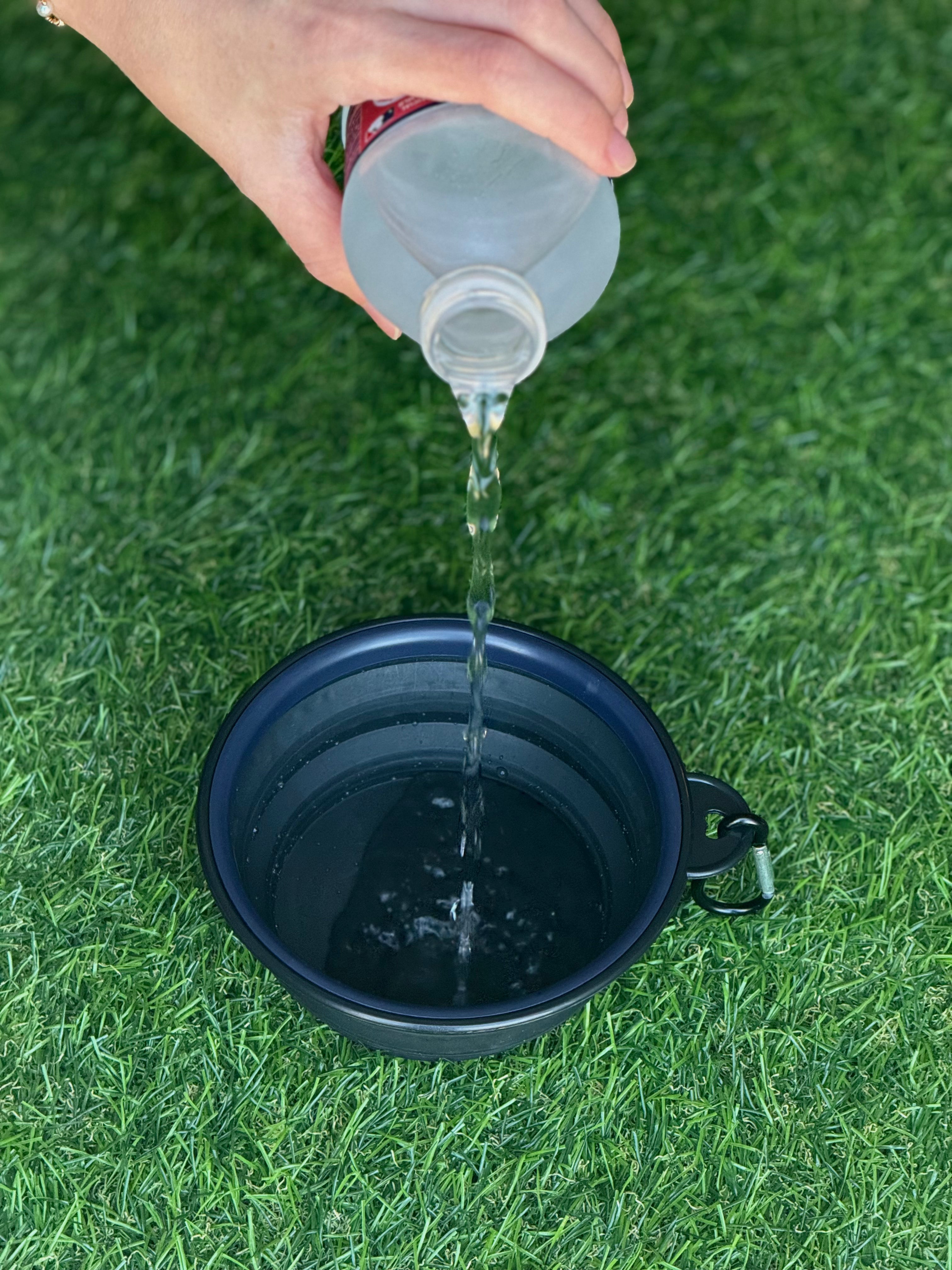 Custom Collapsible Dog Water Bowl – Branded Pet Travel Essential