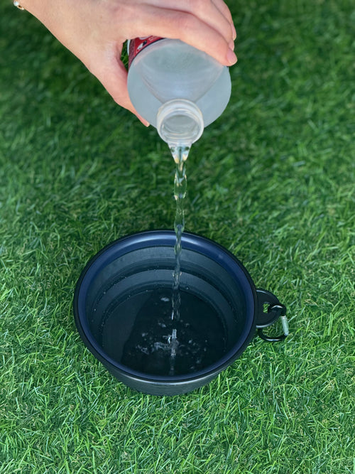 Custom Collapsible Dog Water Bowl – Branded Pet Travel Essential