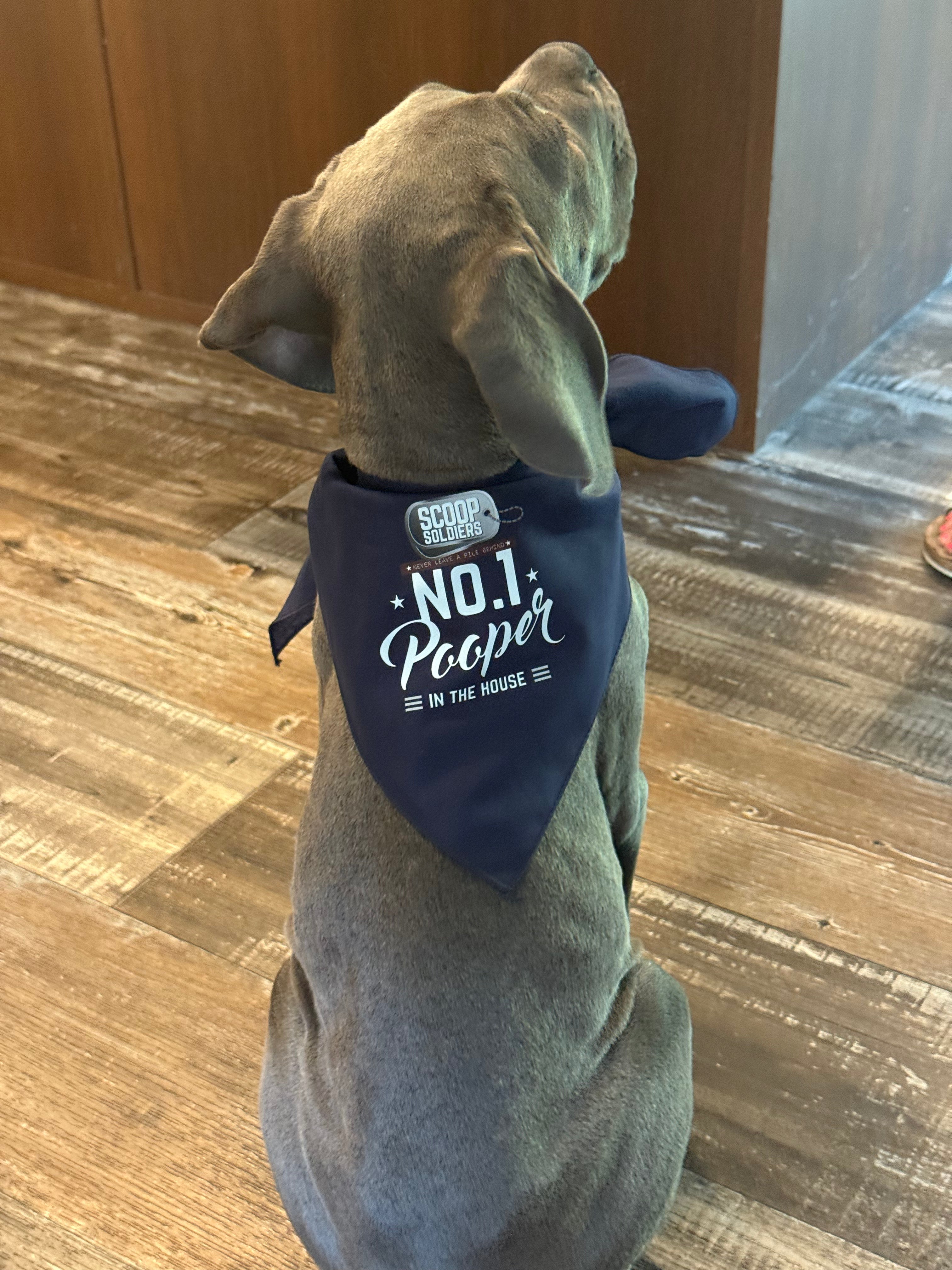 Funny Dog Bandana – Choose Your Favorite Saying!