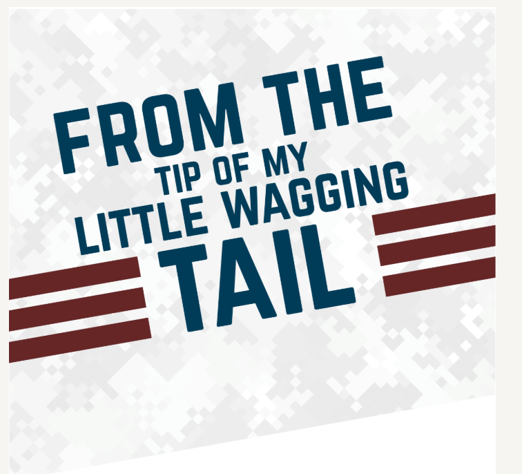 Scoop Soldiers “Thank You” Greeting Card, Quantity of 30