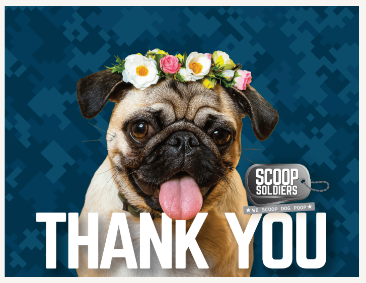Scoop Soldiers “Thank You” Greeting Card, Quantity of 30
